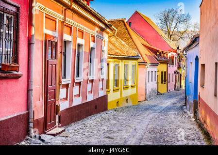 Sighisoara, Roumanie. Citadelle médiévale, situé dans la région historique de Transylvanie, construit par les Saxons de Transylvanie. Banque D'Images