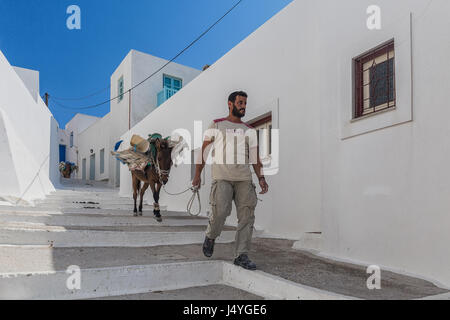 L'île d'Amorgos, Grèce - Octobre 2015 : Local homme grec avec un âne avec réservoirs d'eau passe le long de la rue d'Amorgos Banque D'Images