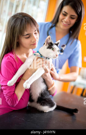 Chat curieux regardant vet ambulant tout en tenant sa fille est Banque D'Images