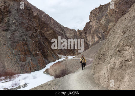 Paysage d'hiver dans le parc national de Hemis près de Leh, Ladakh en Inde pendant l'expédition de léopard des neiges. Banque D'Images