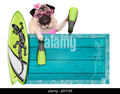 Bikini babe pug dog avec plage en bois vintage bleu signe, de surf et de palmes pour l'été, isolé sur fond blanc Banque D'Images