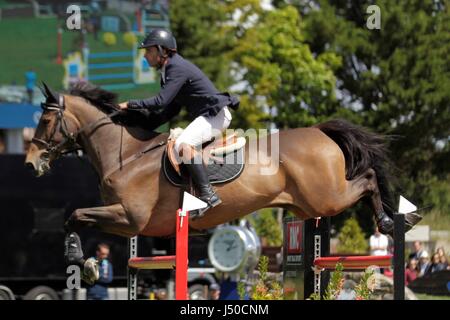 (C) LAURENT / LAIRYS LEMOUSTICPRODUCTION / MAXPPP - à la baule-escoublac le 14-05-2017 - JUMPING INTERNATIONAL DE FRANCE (CSIO5 PHOTO MAGAZINE) Compétition du cheval - LA SOCIÉTÉ Banque D'Images