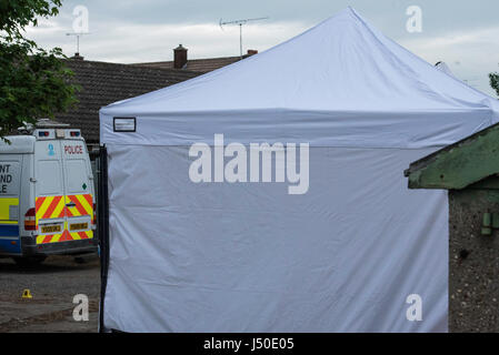 Thurrock, UK. 15 mai, 2017. Une tente de la police couvre la zone de recherche pour le corps de Danielle Jones, qui a été assassiné il y a 16 ans, mais le corps n'a jamais été trouvé Crédit : Ian Davidson/Alamy Live News Banque D'Images