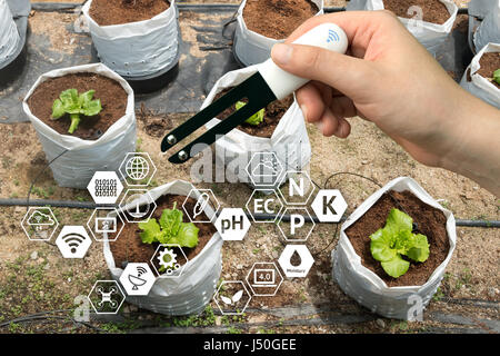 L'agriculture, de l'intelligent concept de capteur. Hand holding smart matériel pour mesurer l'humidité, ph, azote, phosphore, potassium et du soleil dans la terre flowerpo Banque D'Images