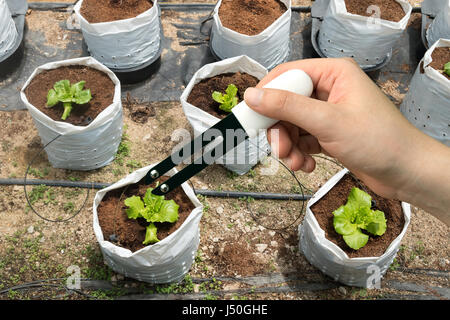 L'agriculture, de l'intelligent concept de capteur. Hand holding smart matériel pour mesurer l'humidité, ph, azote, phosphore, potassium et du soleil dans la terre flowerpo Banque D'Images