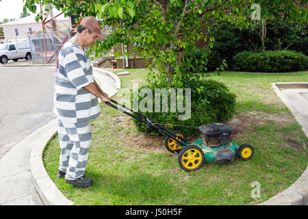 Alabama Mobile County, Bay Waterou la Berre, prisonnier, homme hommes adultes, tondeuse, uniforme rayé, programme de libération du travail, voyages des visiteurs Banque D'Images