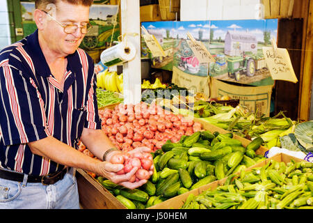 Alabama,Thomasville,produits locaux,stand,vente de cas d'exposition,homme hommes adultes mâles,seniors citoyens,pommes de terre,concombre,okra,veg Banque D'Images