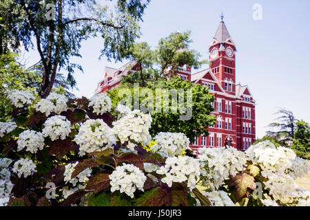 Auburn Alabama,Auburn University,campus,Samford Hall,Tour de l'horloge,bâtiment administratif,campus,enseignement supérieur,tradition,université,Southeastern Confe Banque D'Images