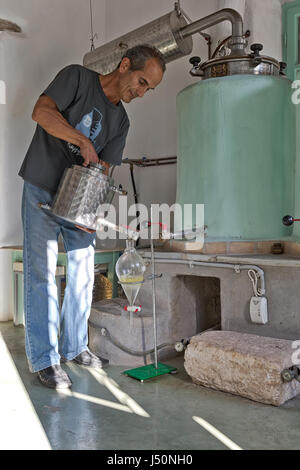 L'île d'Amorgos, Grèce - Octobre 2015 : Un homme au cours de la distillation traditionnelle et la production de l'huile essentielle fait maison Banque D'Images