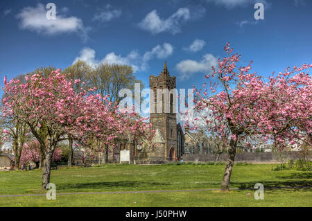 En regardant vers The Fullarton (anciennement l'église St Andrews) avec fleur de cerisier dans le Lochside Park, Castle Douglas, Dumfries et Galloway, en Écosse. Banque D'Images