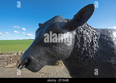 La célèbre statue de taureau noir sur le bord de la route à l'entrée est de la ville de Aberdeenshire Alford dans la région de Grampian, en Écosse. Banque D'Images