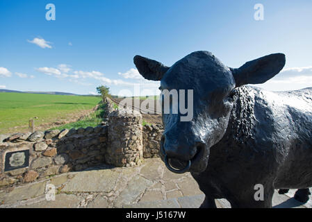 La célèbre statue de taureau noir sur le bord de la route à l'entrée est de la ville de Aberdeenshire Alford dans la région de Grampian, en Écosse. Banque D'Images