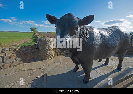 La célèbre statue de taureau noir sur le bord de la route à l'entrée est de la ville de Aberdeenshire Alford dans la région de Grampian, en Écosse. Banque D'Images