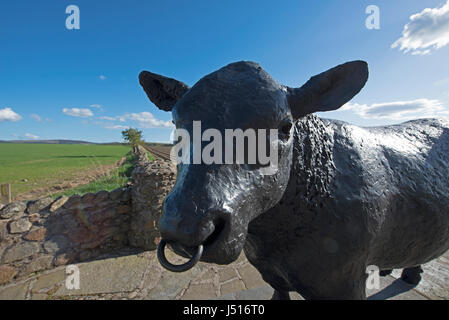 La célèbre statue de taureau noir sur le bord de la route à l'entrée est de la ville de Aberdeenshire Alford dans la région de Grampian, en Écosse. Banque D'Images