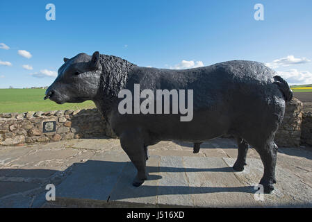 La célèbre statue de taureau noir sur le bord de la route à l'entrée est de la ville de Aberdeenshire Alford dans la région de Grampian, en Écosse. Banque D'Images