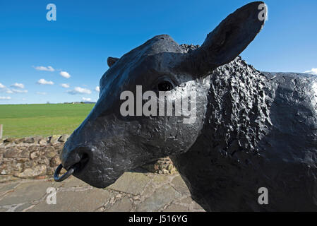 La célèbre statue de taureau noir sur le bord de la route à l'entrée est de la ville de Aberdeenshire Alford dans la région de Grampian, en Écosse. Banque D'Images