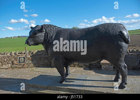 La célèbre statue de taureau noir sur le bord de la route à l'entrée est de la ville de Aberdeenshire Alford dans la région de Grampian, en Écosse. Banque D'Images