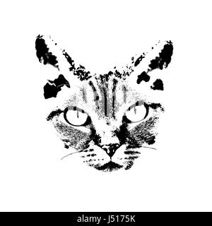 Tete De Chat Noir Dessin Isole Sur Fond Blanc Photo Stock Alamy