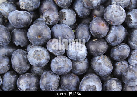 Fruits bleuets frais libre comme une texture de fond de l'alimentation Banque D'Images