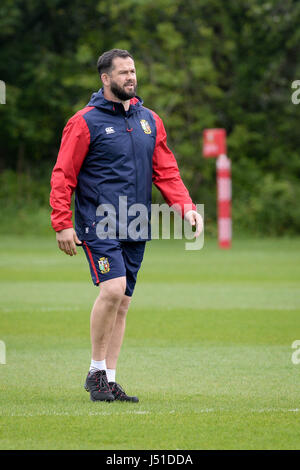 Les Lions britanniques et irlandais l'entraîneur adjoint, Andy Farrell pendant une session de formation à la société Centre d'excellence, Glamorgan. Banque D'Images