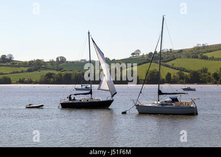 Srailing sur le la rivière Dart, une rivière dans le Devon (Angleterre) qui s'élève à Dartmoor, et les rejets à la mer, à Dartmouth. Banque D'Images