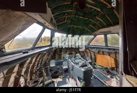 Détruit la cabine de l'avion avec vue sur la forêt d'automne depuis les fenêtres. Vue à l'intérieur Banque D'Images