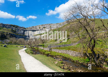 Sentier de Malham Cove aux côtés de Malham Beck, Malham, Malhamdale, Yorkshire Dales National Park, North Yorkshire, Angleterre, Royaume-Uni. Banque D'Images