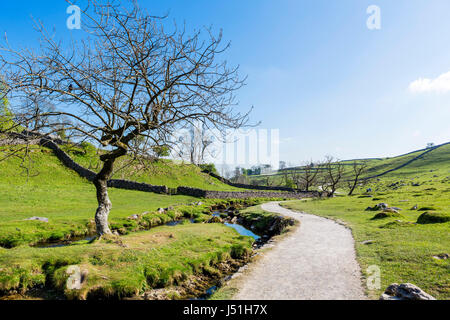 Aux côtés du sentier pédestre Malham Beck à Malham Cove, Malham, Malhamdale, Yorkshire Dales National Park, North Yorkshire, Angleterre, Royaume-Uni. Banque D'Images