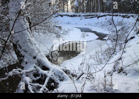 Dans la rivière mienia mazowiecki parc paysage près de Varsovie Banque D'Images