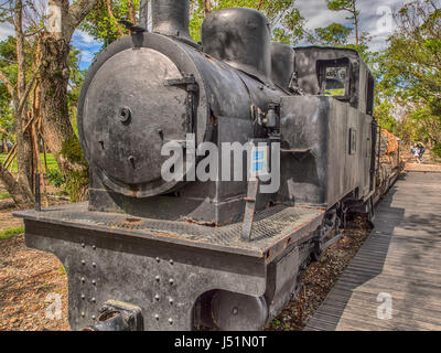 Stanley, Taiwan - le 18 octobre 2016 : un train transportant des locomotives en camphrier Culture jardin forestier Luodong Banque D'Images