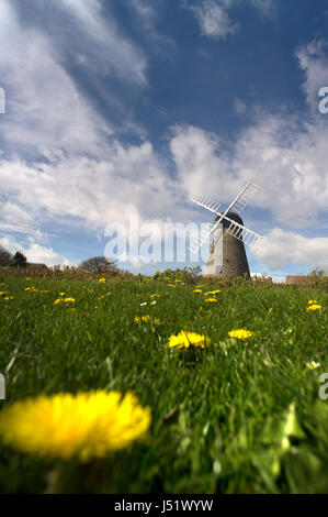 Whitburn mill, South Tyneside Banque D'Images