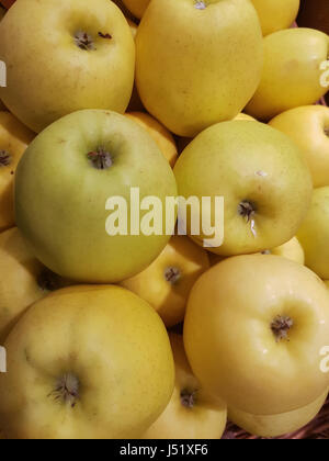 Au vue des pommes Golden Delicious sur market Banque D'Images