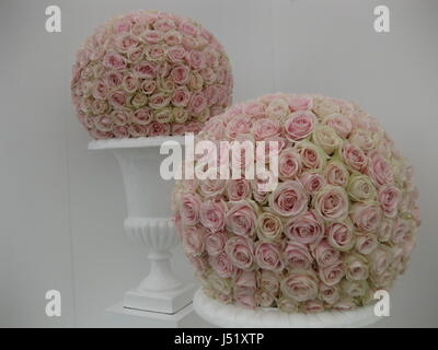 Deux grosses balles faites de roses rose pâle assis sur des socles blancs Banque D'Images