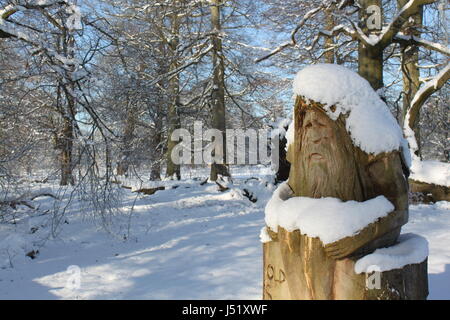 Arbre sculpté dans le vieil homme, comme de vieux père temps recouverts de neige en Dunham Massey avec arbre couvert de neige paysage behin Banque D'Images