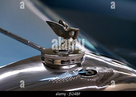 PETRIVTSI NOVI, UKRAINE - Avril 2017 : Bentley logo. Véhicule ancien/détail. Le musée de véhicules anciens dans la résidence de l'ex-président de Lukraine Viktor Ianoukovitch Banque D'Images