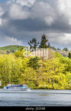 Le bateau de plaisance, Mlle Cumbria III , au printemps, des croisières le long du lac Windermre, Cumbria, Angleterre. Banque D'Images