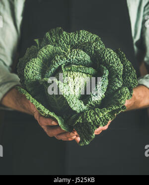 Homme portant un tablier noir vert frais cabbagein tenant dans ses mains au marché agricole local. Jardinage, agriculture and natural food concept Banque D'Images