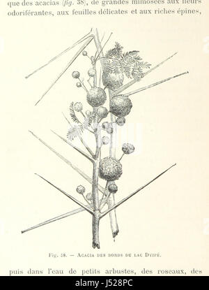 Image prise à partir de la page 206 de 'Au Kilima-Ndjaro, Afrique orientale. ... Illustré de 4 cartes et de 89 gravures dessinées par l'auteur" Banque D'Images