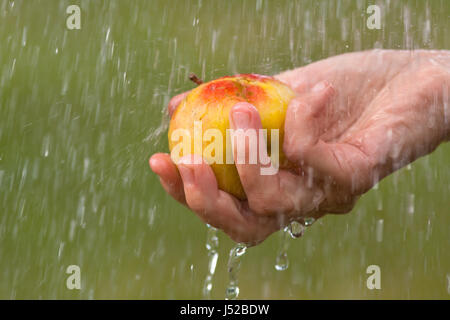 La main avec Apple dans l'eau qui coule sur fond vert Banque D'Images