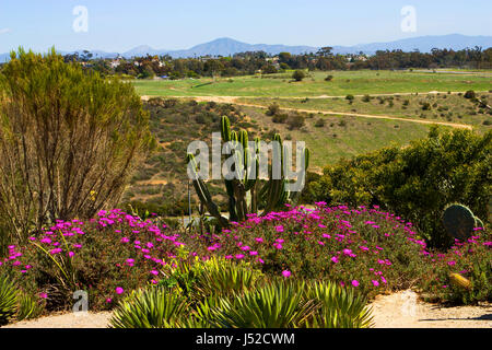Beau paysage à San Diego, Californie, USA. Banque D'Images