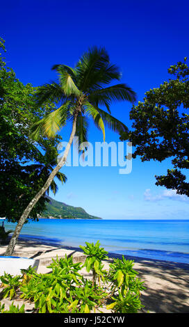 La plage de Beau Vallon, île de Mahé, République des Seychelles. Banque D'Images