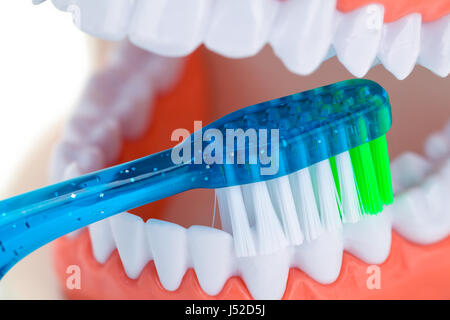 Dents dentaires brossé étant isolé sur blanc. Banque D'Images