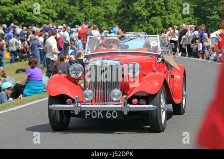 MG TD Midget (1954). Châtaignier dimanche 14 mai 2017. Bush Park, Hampton court, Londres, Angleterre, Grande-Bretagne, Royaume-Uni, Royaume-Uni, Europe. Banque D'Images