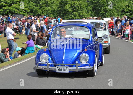 Volkswagen Beetle (1967). Châtaignier dimanche 14 mai 2017. Bush Park, Hampton court, Londres, Angleterre, Grande-Bretagne, Royaume-Uni, Royaume-Uni, Europe. Banque D'Images