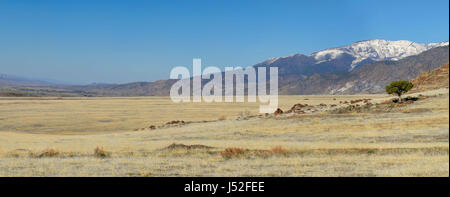 Panorama d'un arbre dans une vallée vide à Monroe, Utah, USA. Banque D'Images