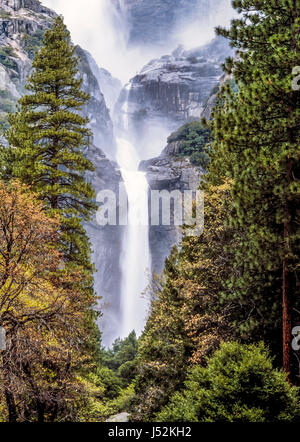 Yosemite National Park est un parc national des États-Unis couvrant l'est du centre, de Mariposa et les comtés de Madera dans le centre-est por Banque D'Images