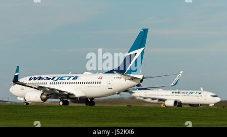 Les avions de WestJet Airlines Boeing 737 avions décollant de l'Aéroport International de Calgary Banque D'Images