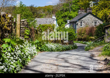 Cottages en Colthouse, près de Hawkshead, Lake District, Cumbria Banque D'Images