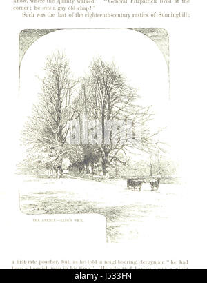 Image prise à partir de la page 257 de "une histoire de la forêt de Windsor, Sunninghill, et le grand parc. [Avec illustrations.]' Banque D'Images