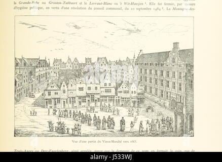 Cet ouvrage détaille l’histoire de Louvain, en Belgique, explorant son évolution du passé au présent. Il couvre les développements fondamentaux du cityÂ€™, les événements historiques importants et les principaux monuments culturels. Banque D'Images